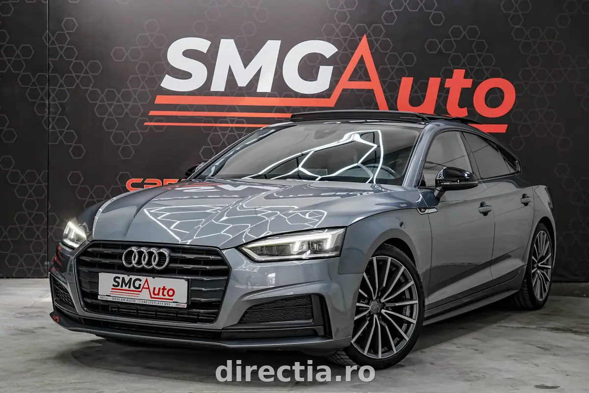 Poza principală