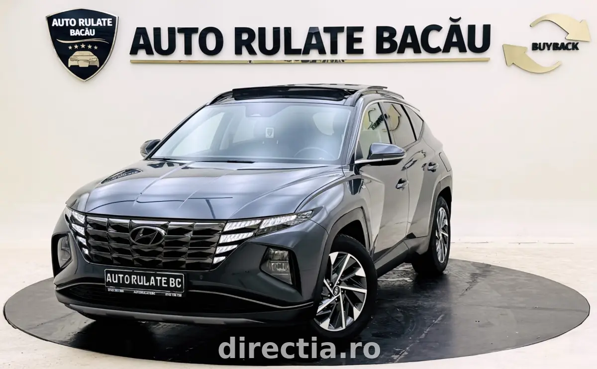 Poza principală