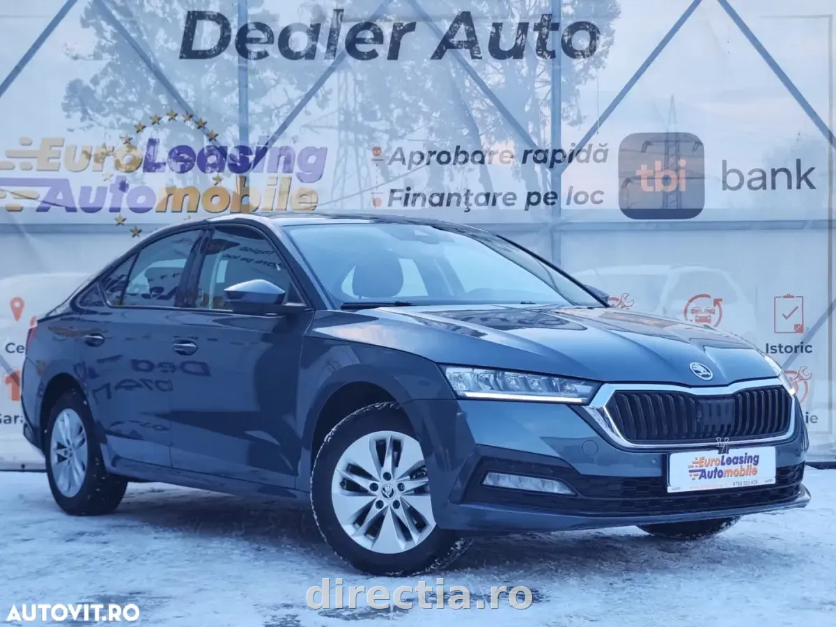 Poza principală