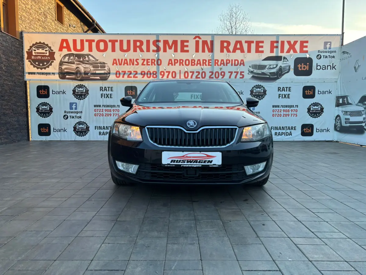 Poza principală