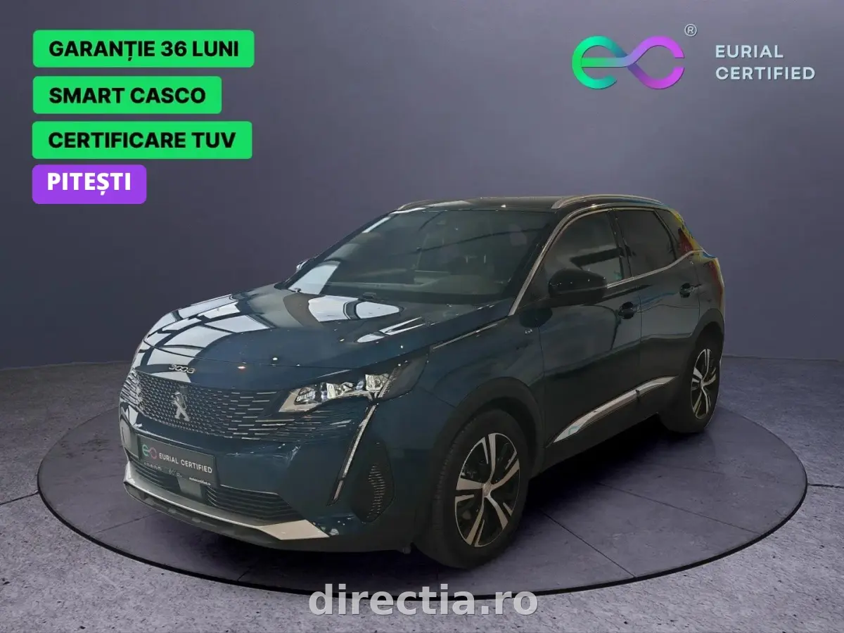 Poza principală