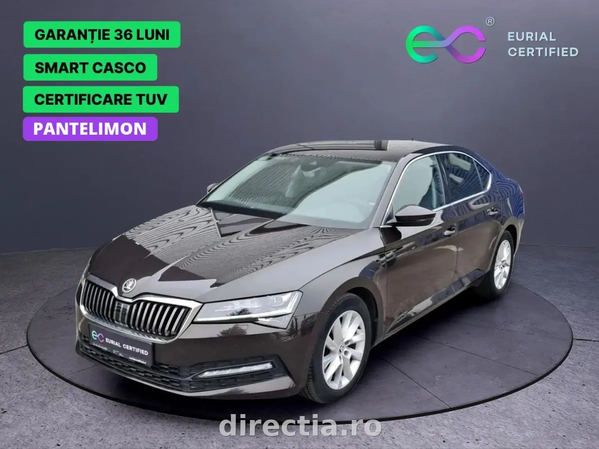 Poza principală