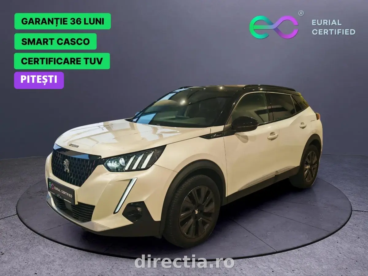 Poza principală