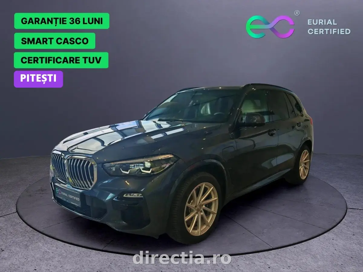 Poza principală