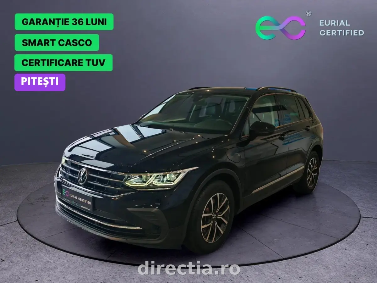 Poza principală