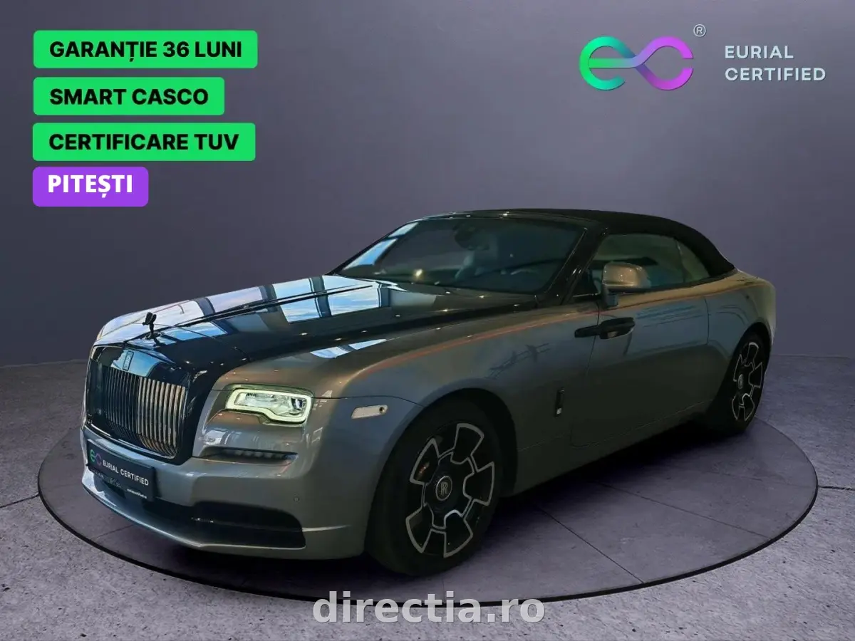 Poza principală