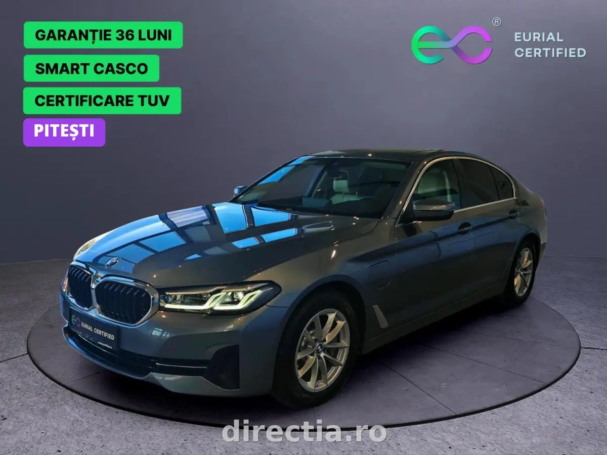 Poza principală
