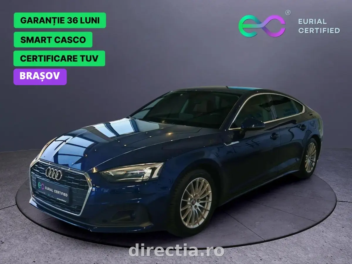 Poza principală