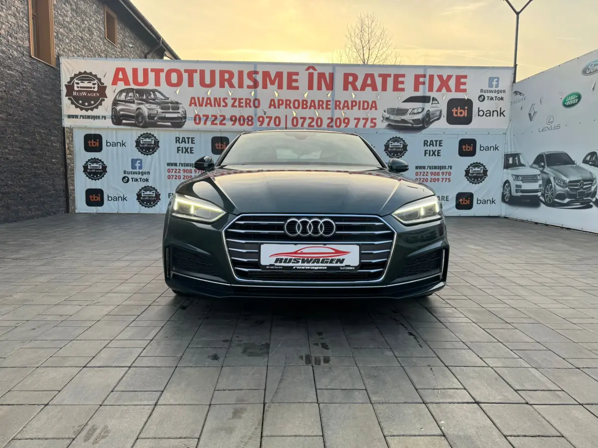 Poza principală