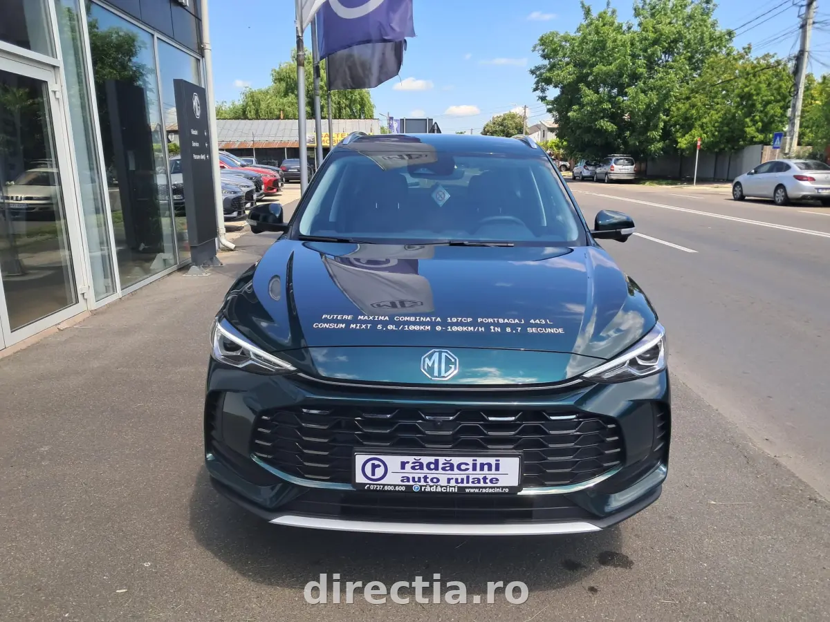 Poza principală