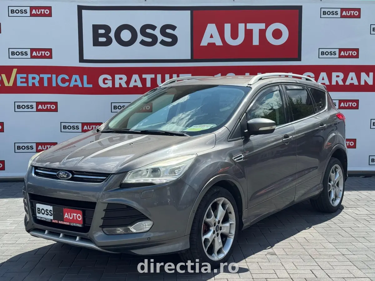 Poza principală