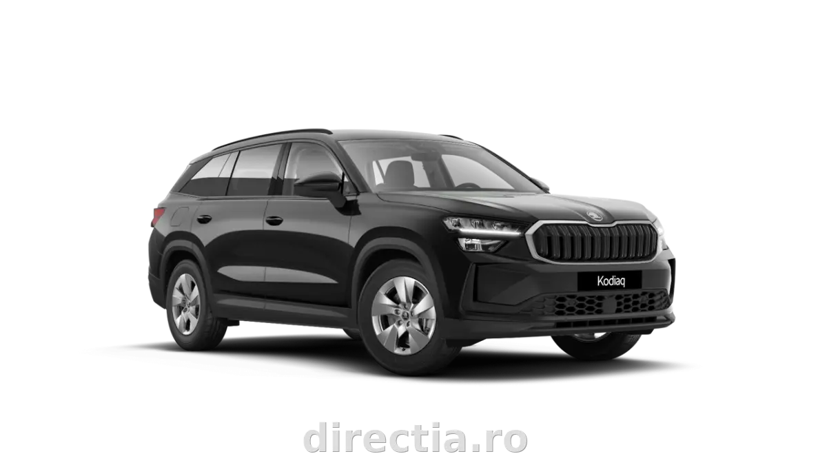 Poza principală