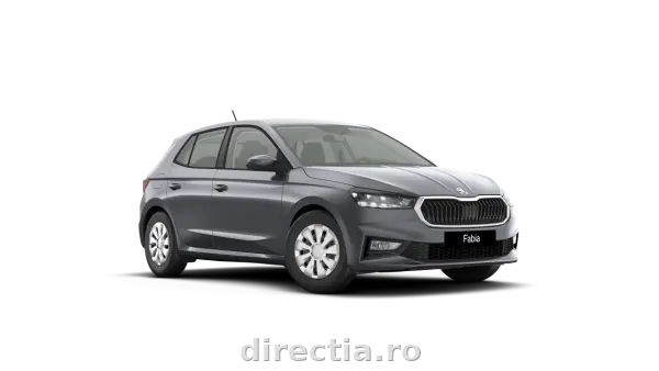 Poza anunț 1