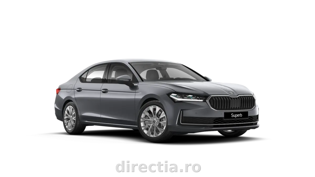 Poza principală