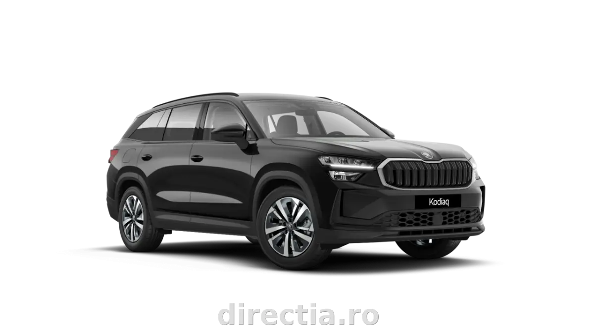 Poza principală