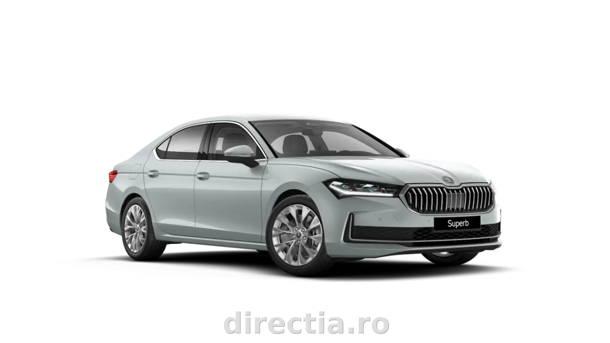 Poza principală