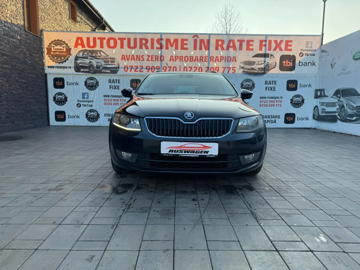 Poza principală