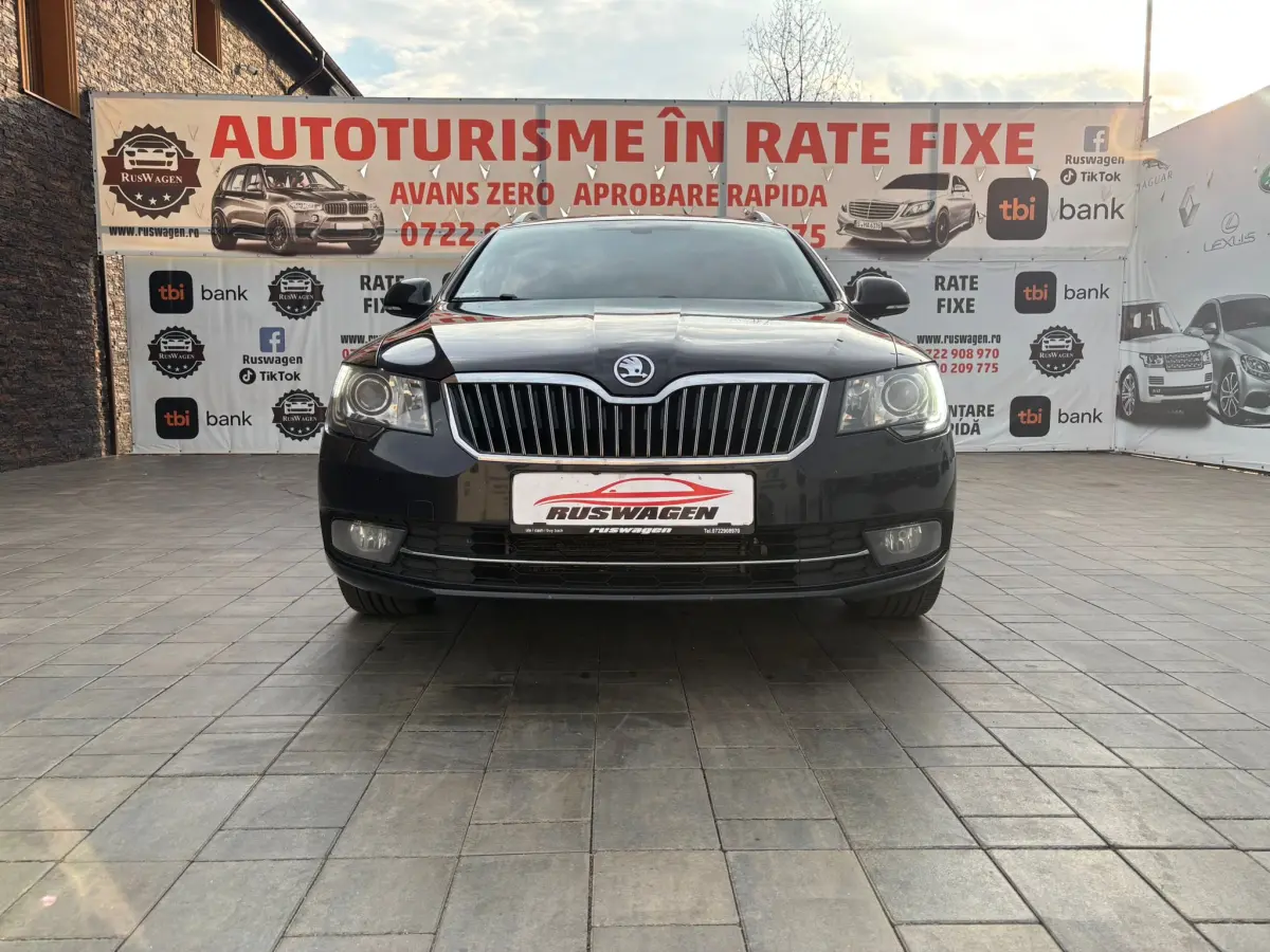 Poza principală