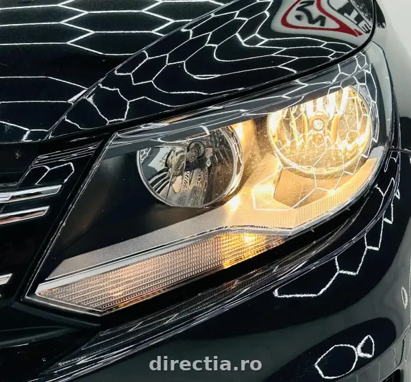 Poza anunț 10
