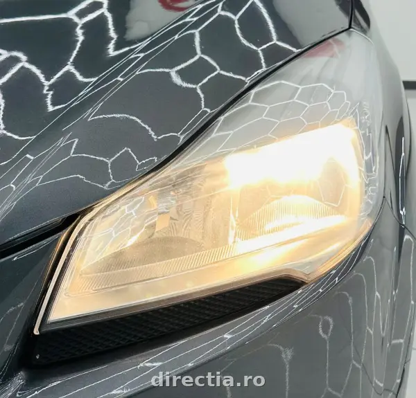 Poza anunț 19