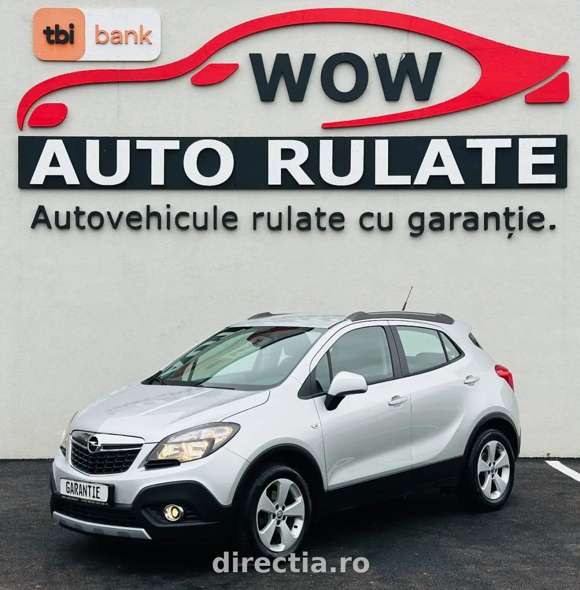 Poza principală