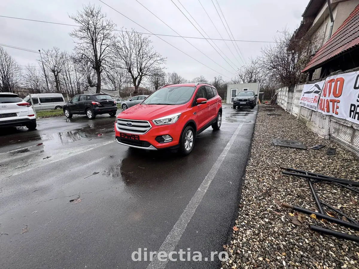Poza principală