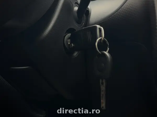 Poza anunț 19