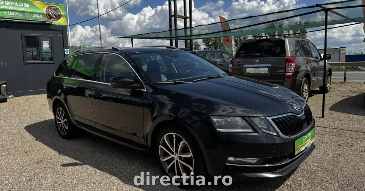 Poza principală