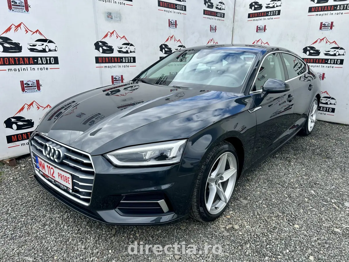 Poza principală