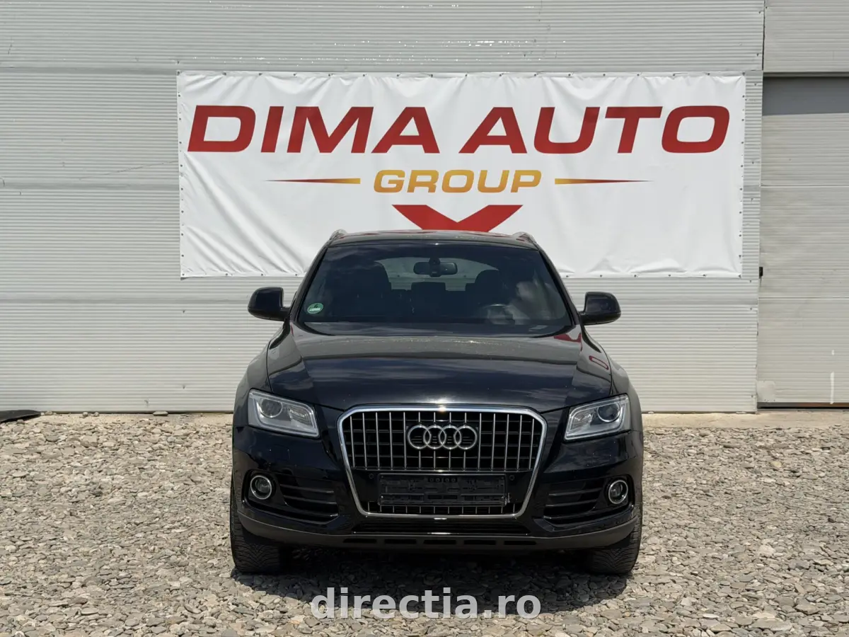Poza principală