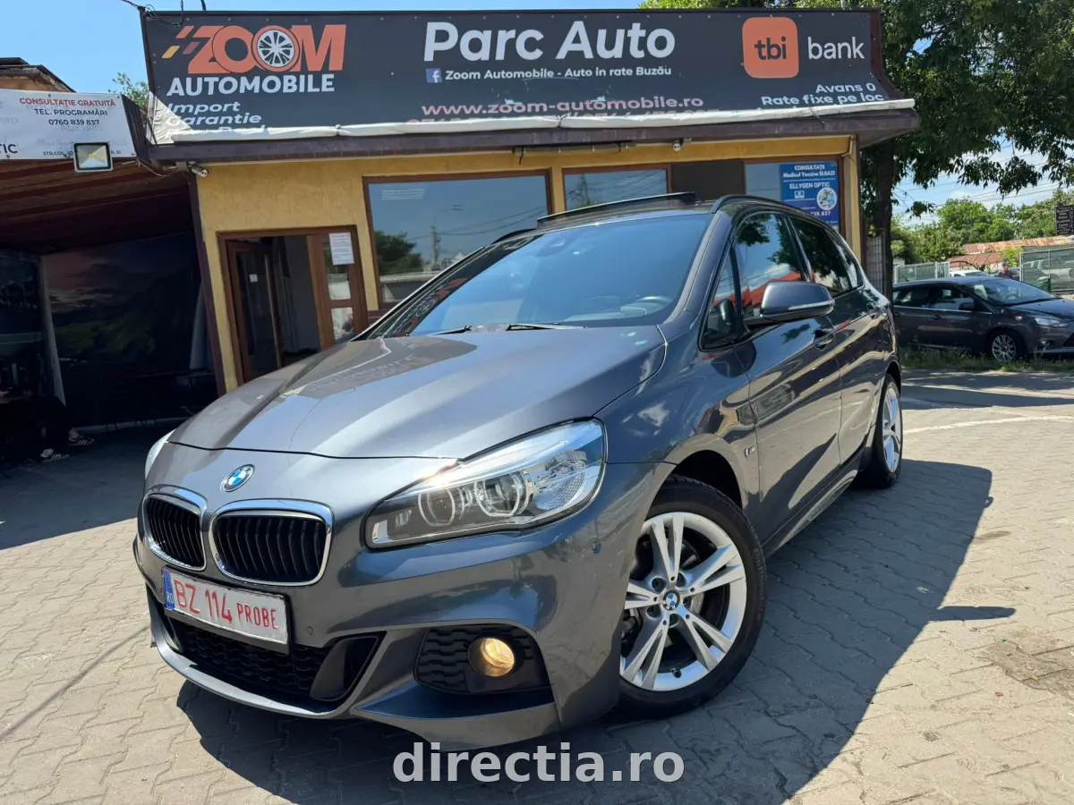 Poza principală