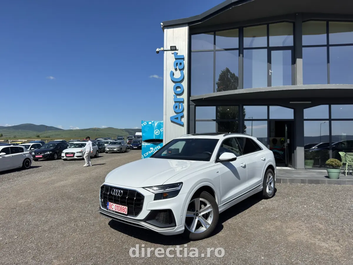Poza principală