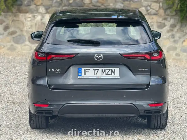 Poza anunț 10