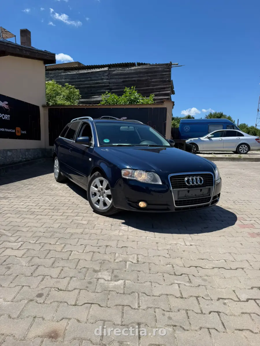 Poza principală