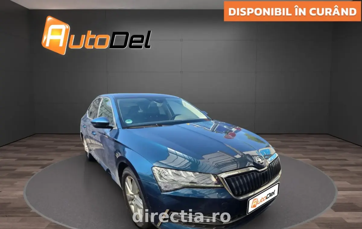 Poza principală