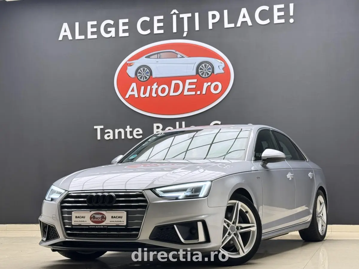 Poza principală