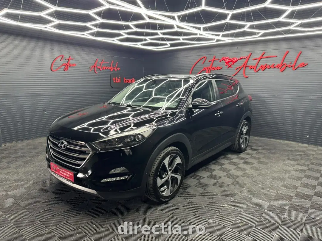 Poza principală