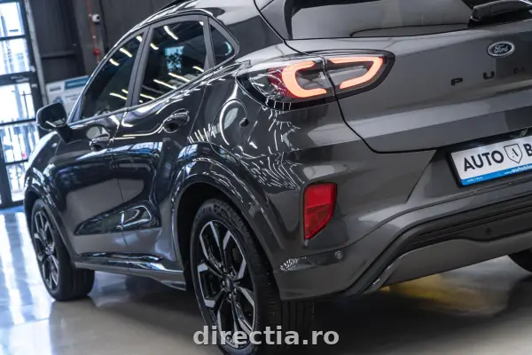 Poza anunț 31