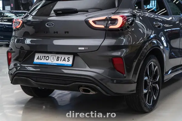 Poza anunț 13