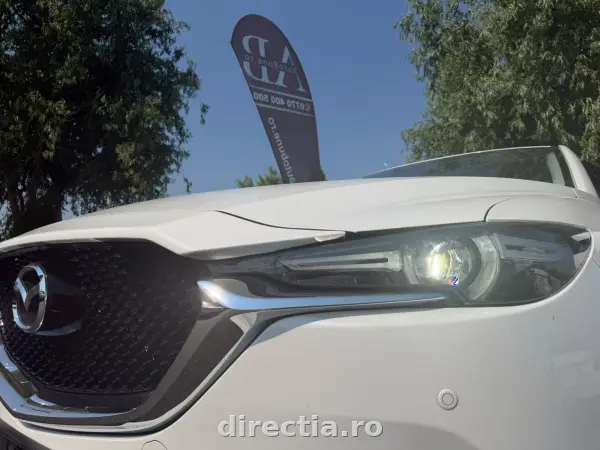 Poza anunț 7