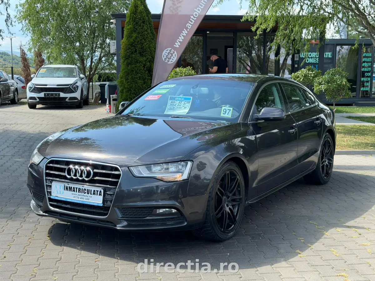 Poza principală