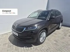 Poza principală