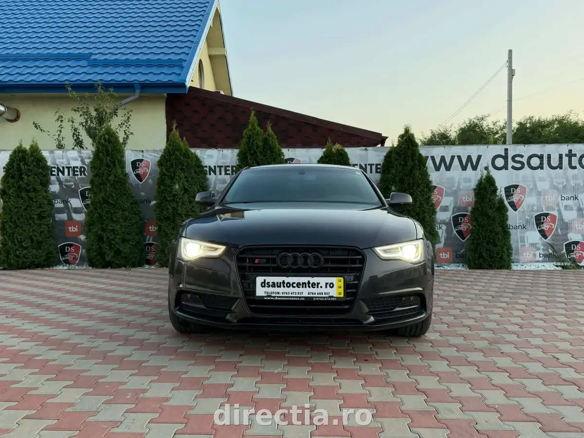 Poza principală