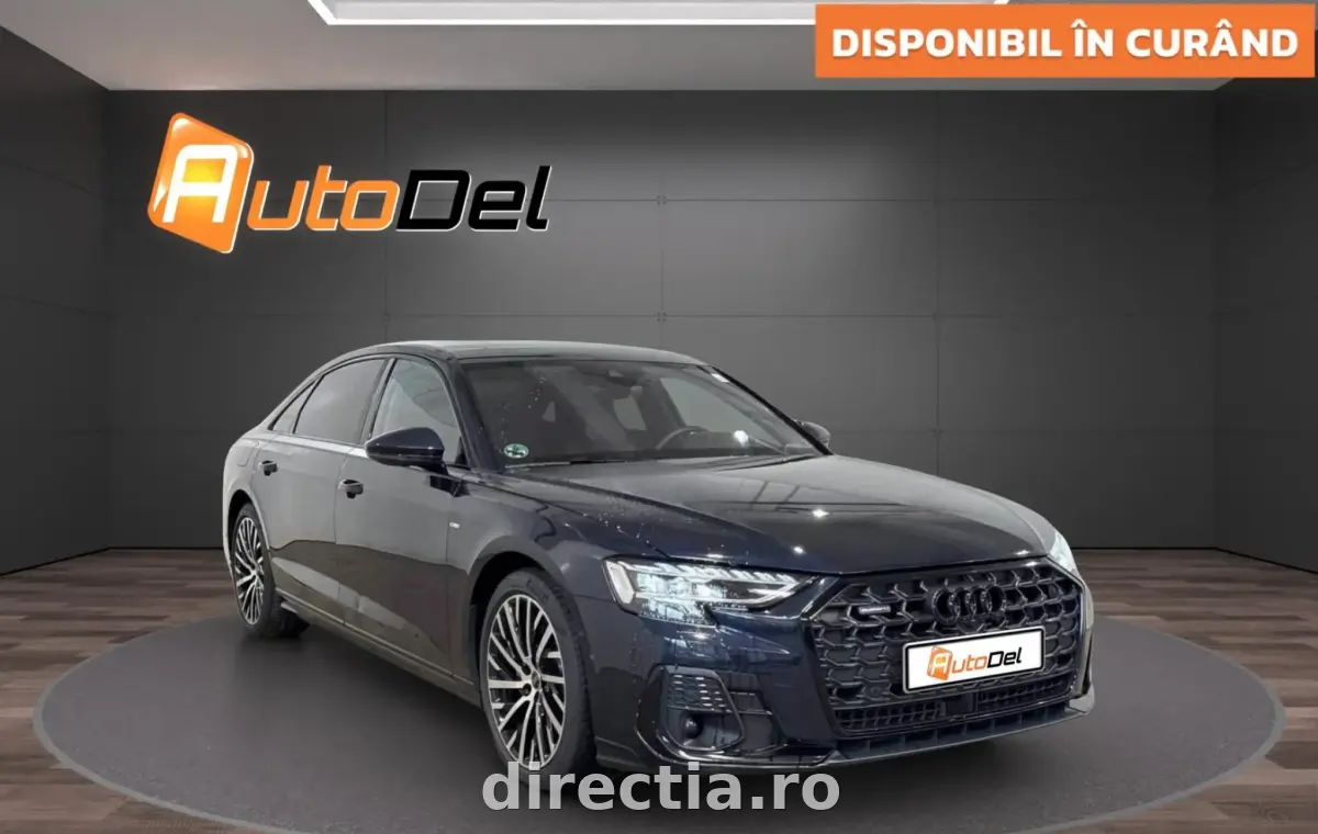 Poza principală