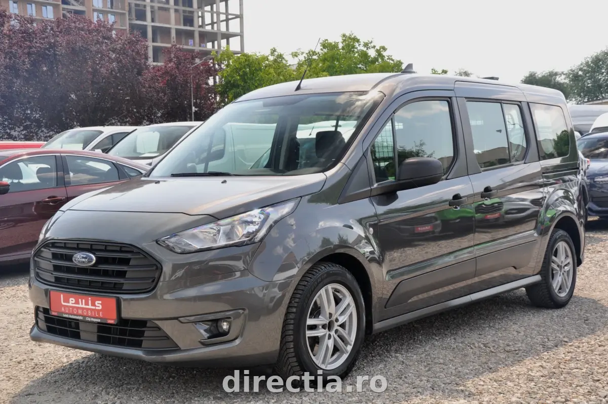 Poza principală