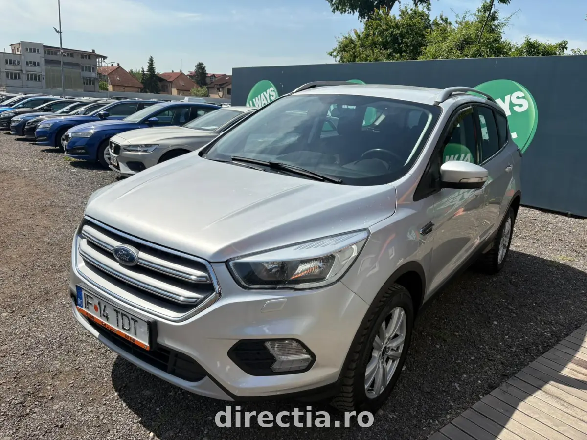 Poza principală