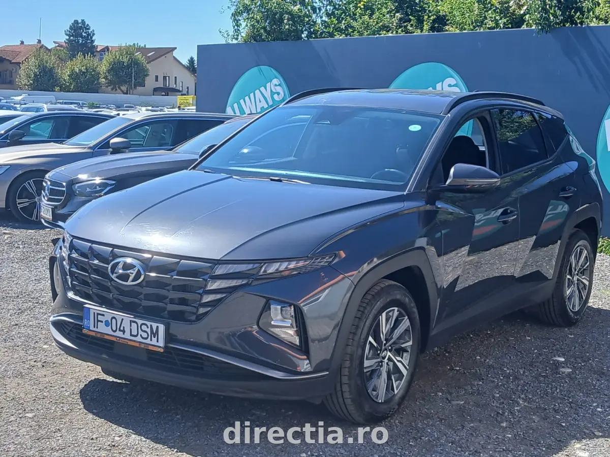 Poza principală