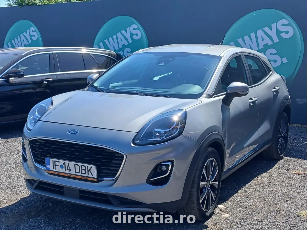 Poza principală