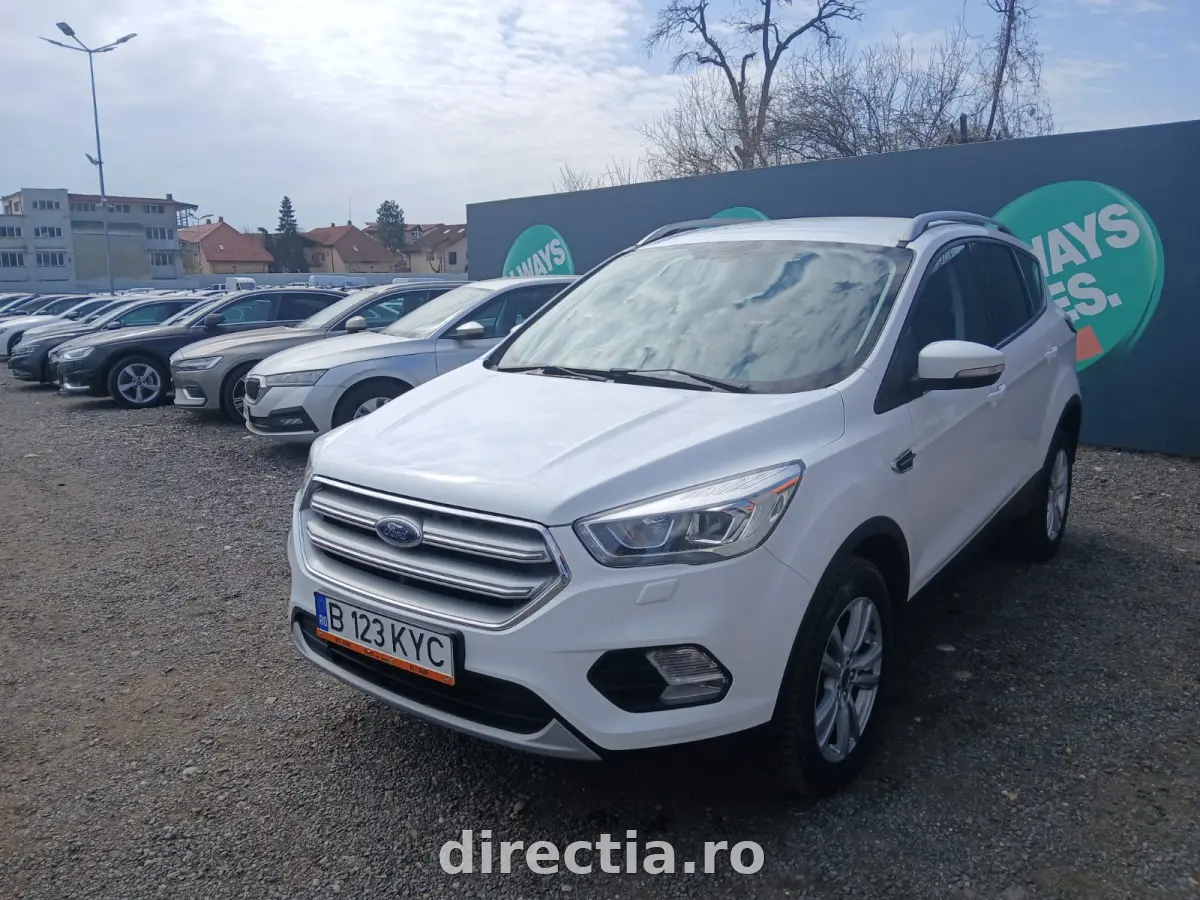 Poza principală