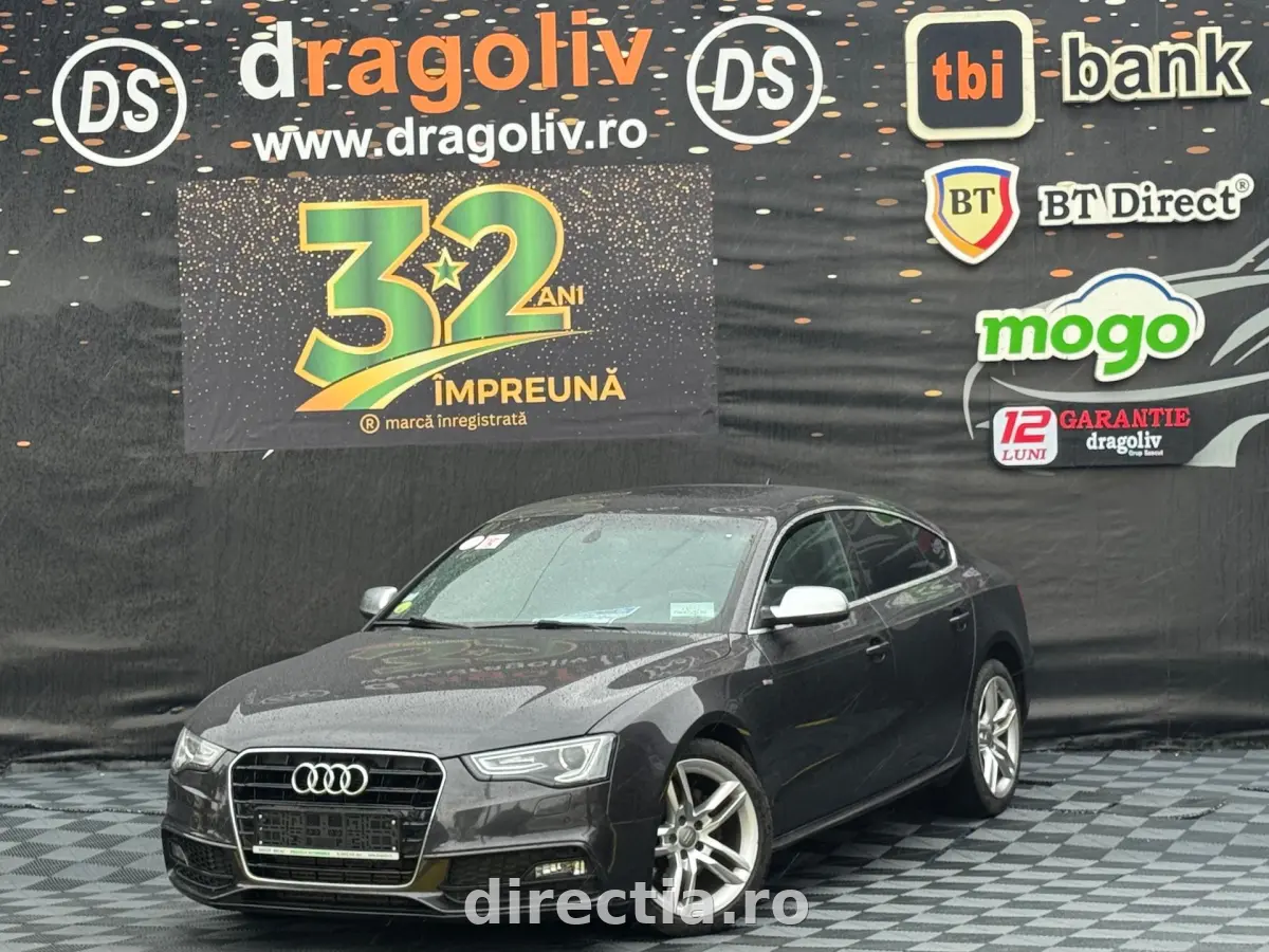 Poza principală